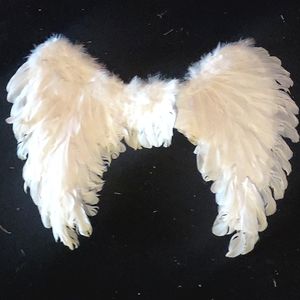 Spirit Halloween Angel wings